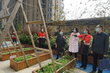 DSC07153.jpg