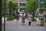 DSC09633.jpg