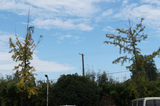 DSC03077.jpg