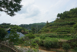 DSC04330.jpg